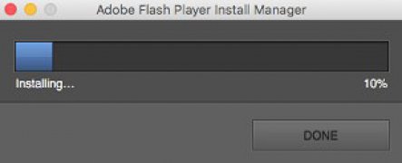 download adobe flash player installer manager for mac